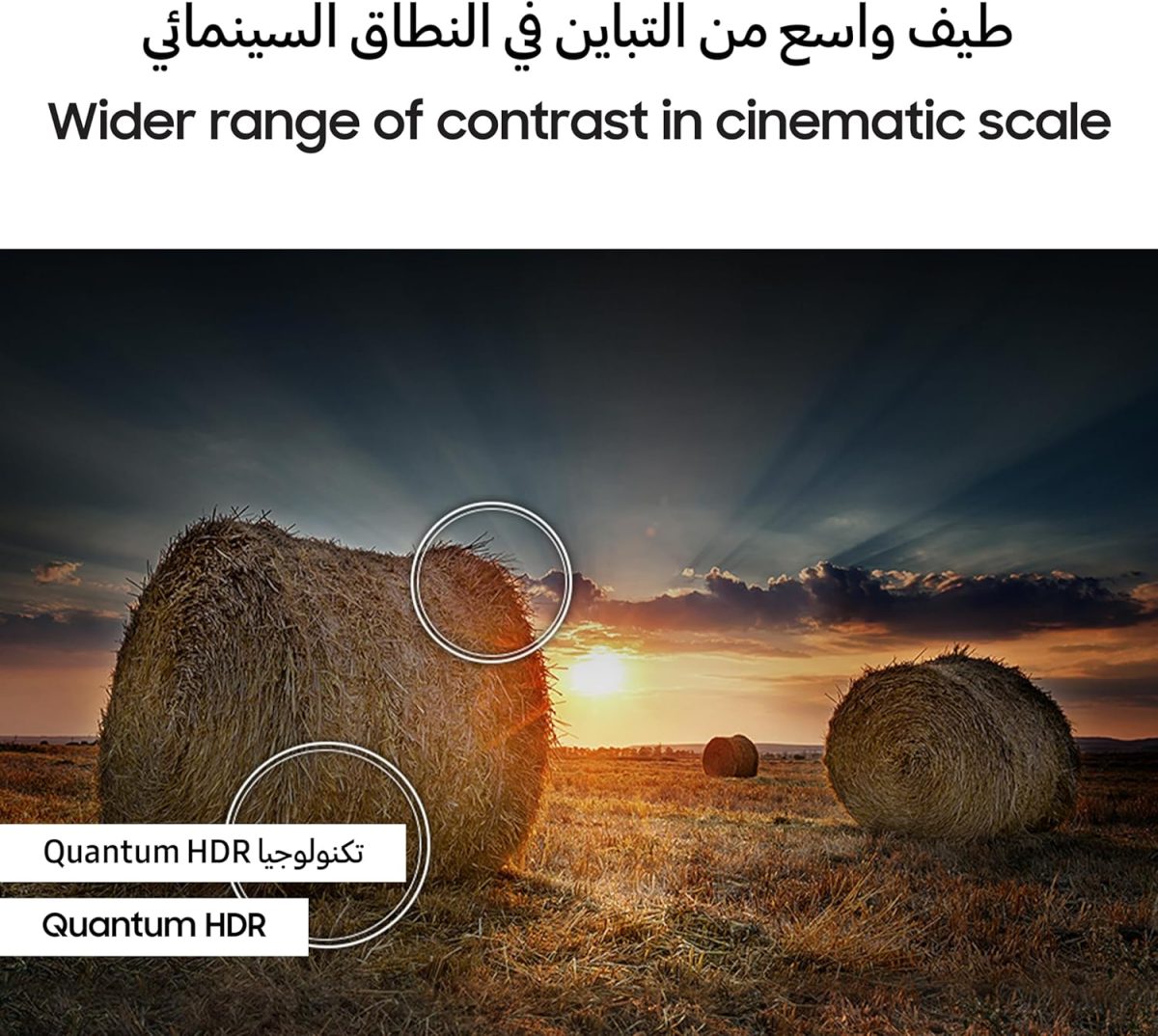 1742849778 81lMHcin8bL. AC SL1500