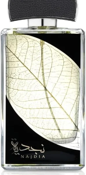 لطافة - عطر نجدية - او دي بارفان، سعة 100 مل، للرجال