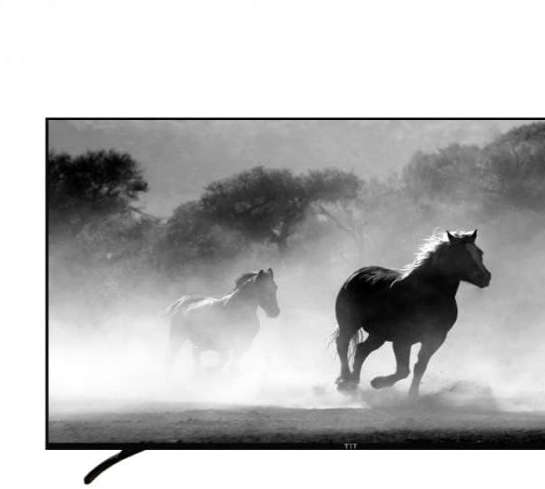تلفزيون سمارت LED من تي اي 75 بوصة 4K - جاهز لخاصية HD || 3840×2160 بكسل أسود