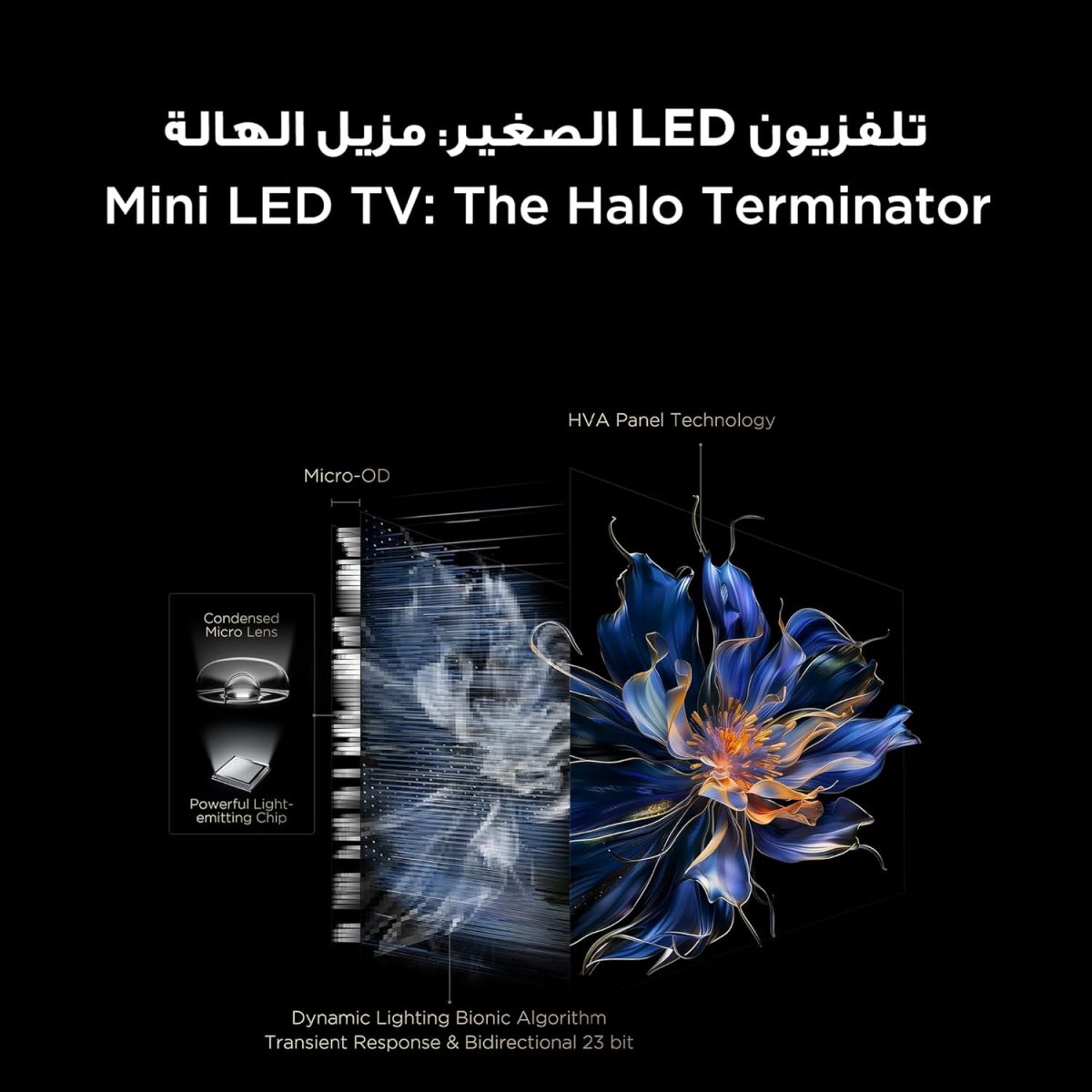 ⁦تلفزيون ذكي 75C7K 4K شاشة 75 بوصة بتقنية QD-ميني ليد كريستال كوانتوم HDR بعدد 3000 وحدة مضيئة لألعاب جوجل، معدل تحديث 144 هرتز وتقنية الصوت بانج اند اولفسن دولبي اتموس وجيم ماستر من تي سي ال (2025)⁩ - الصورة ⁦8⁩