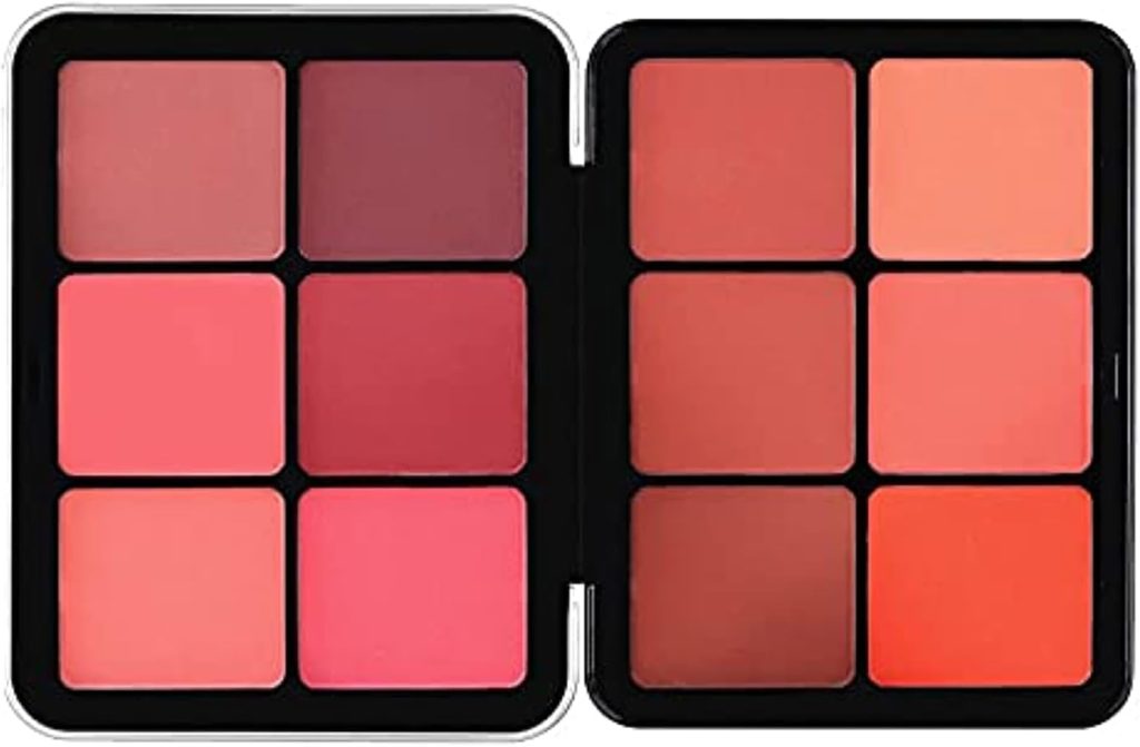 Make Over 22 Blush Set 12 Colors - BP01