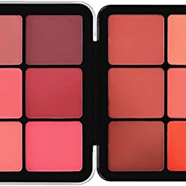 Make Over 22 Blush Set 12 Colors - BP01
