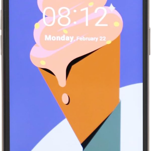 4G Smartphone, Dual SIM Quad Core Cell Phone 1440X3200 for Photograph (Gray)