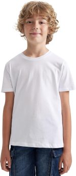 DeFacto Boys B0667A8 T-shirt