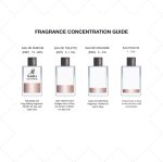 ⁦Alrehab Maria Perfume 100 ml⁩ - الصورة ⁦5⁩