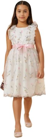 Styli Girls Embroidered Ruffle Detail Mesh Dress With Belt