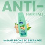 ⁦Pert Plus Anti-Hair Fall Shampoo with Ginger Extract, 600ml⁩ - الصورة ⁦2⁩