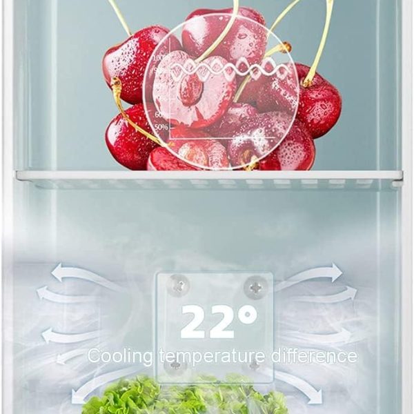 Car Refrigerator, Portable 10L Household Mini Small Single-person Rental Student Dormitory 12V/220V Car And Home Dual-use Refrigerator