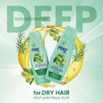 ⁦Pert Plus Shampoo Damage Dry Hair Olive Oil 600ml⁩ - الصورة ⁦3⁩