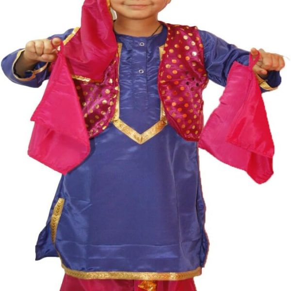 FancyDressWale Bhangra/Punjabi Boy Costume for Kids, Multi Color, 8-10 Years