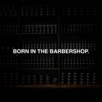 ⁦Charlemagne Beard Oil – 100% Vegan Vanilla Tobacco Fragrance – Natural Stimulates Growth – Men's Beard Oil Vegan – Made in Germany⁩ - الصورة ⁦5⁩