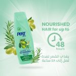 ⁦Pert Plus Shampoo Damage Dry Hair Olive Oil 600ml⁩ - الصورة ⁦5⁩