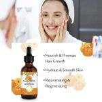 ⁦ALIVER UEPETU Hair Grow Oil 60ml, Pumpkin Seed Oil Serum for Hair Growth , Carrier Oil for Face Nails Body Skin, Ideal for Aromatherapy and Massage Base Oil⁩ - الصورة ⁦5⁩