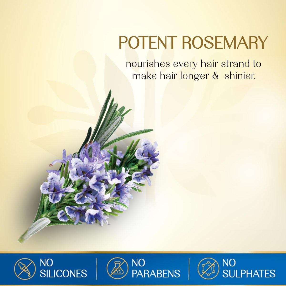 ⁦Herbsindia Rosemary & 7 Herbal Seeds Hair Oil With Nourish Tube | For Longer & Shinier Hair| Silicone & Paraben Free | All Hair Types| 280ml⁩ - الصورة ⁦5⁩