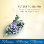 ⁦Herbsindia Rosemary & 7 Herbal Seeds Hair Oil With Nourish Tube | For Longer & Shinier Hair| Silicone & Paraben Free | All Hair Types| 280ml⁩ - الصورة ⁦5⁩