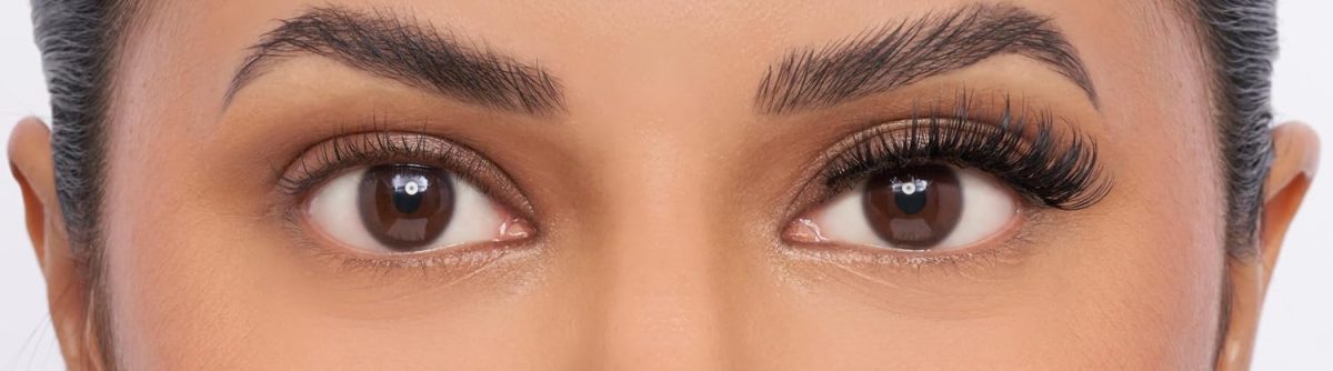⁦Eylure Volume & Curl No. 123 False Lashes⁩ - الصورة ⁦3⁩
