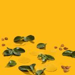 ⁦Shea Moisture Grapeseed & Tea Tree Oils - Low Porosity Weightless Hydrating Conditioner with Sunflower Oil⁩ - الصورة ⁦7⁩