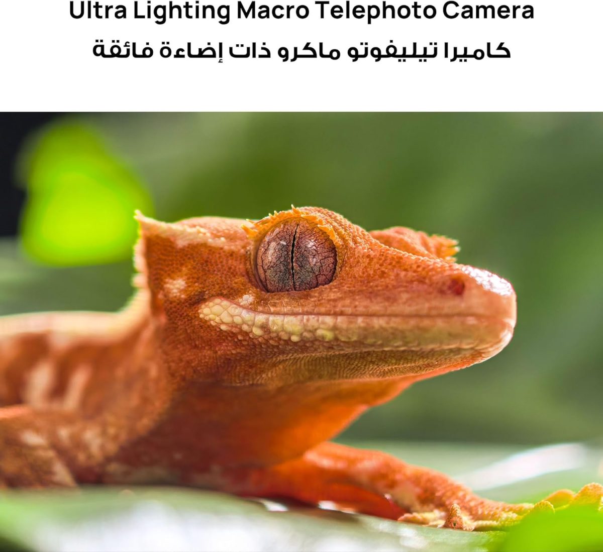⁦HUAWEI Pura 80 Pro Smartphone 12GB+512GB, 1" Ultra Lighting Camera, Ultra Lighting Macro Telephoto Camera,AI Noise Cancel, 5170 mAh & SuperCharge, Extra WATCH GT 5 46mm Smartwatch, HUAWEI Care+(Black)⁩ - الصورة ⁦5⁩