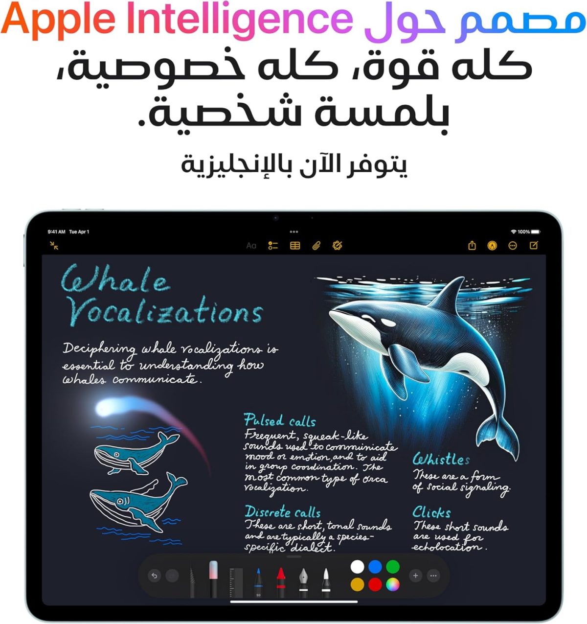 ⁦Apple iPad Air 13-inch with M3 chip Built for Apple Intelligence, Liquid Retina Display, 256GB, 12MP Front/Back Camera, Wi-Fi 6E, Touch ID, All-Day Battery Life — Space Gray⁩ - الصورة ⁦3⁩