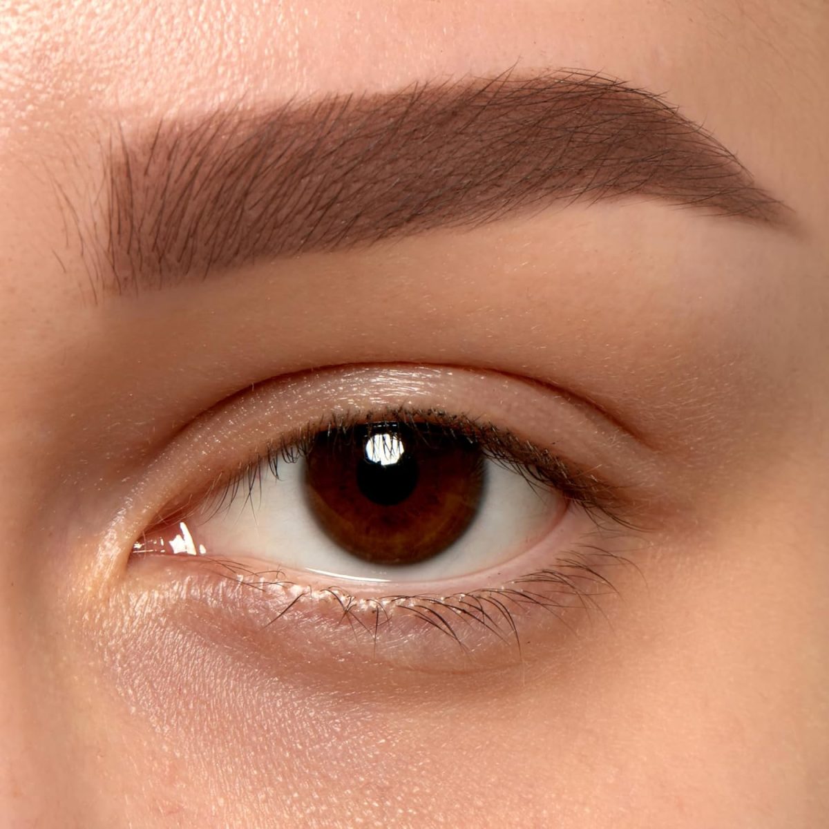 ⁦Inglot Amc Brow Liner Gel 16⁩ - الصورة ⁦4⁩