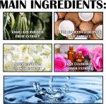 ⁦Goyazan Lily Perfume Premium - Attraction Perfume, Lily of the Perfume Premium Pheromone Cologne Oil Roll On for Women, Fresh, Classic Fragrance, Long-Lasting and Clean Scent -（15ml）⁩ - الصورة ⁦8⁩