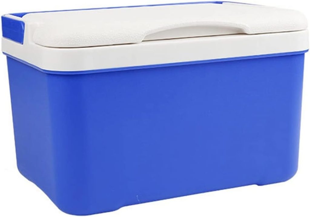 EIOZIEEY Beverage refrigerator 6L Car Fridge Travel Refrigerator Mini Fridges for Car Home Portable Refrigerator Milk Food Carrier with Handle