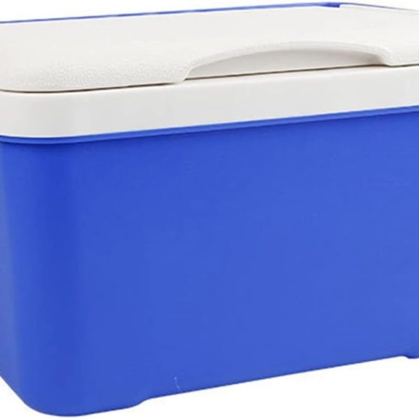 EIOZIEEY Beverage refrigerator 6L Car Fridge Travel Refrigerator Mini Fridges for Car Home Portable Refrigerator Milk Food Carrier with Handle