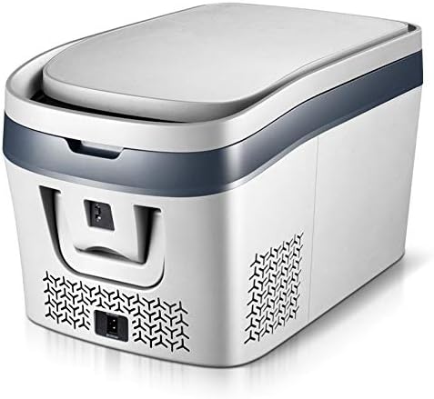 DDCVFREE Mini fridge 38L Car Fridge Compressor DC 12V 24V Car Refrigerator Freezer Cooler for Car Home Picnic Refrigeration Freezer -19~10 Degrees