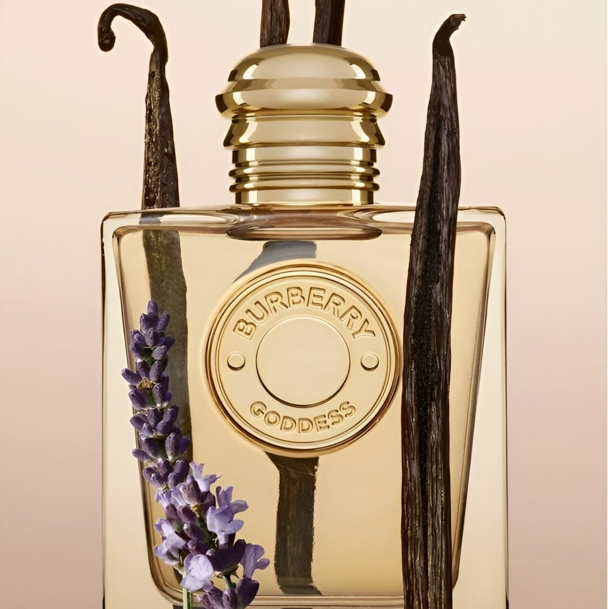 ⁦Burberry Goddess Eau de Parfum Spray for Women⁩ - الصورة ⁦2⁩