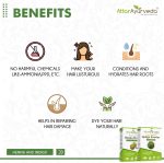 ⁦Attar Ayurveda Natural Dye for Black Hair (Henna Leaves powder, Indigo leaves powder combo pack) (200 grams + 200 grams = 400 grams total)⁩ - الصورة ⁦3⁩