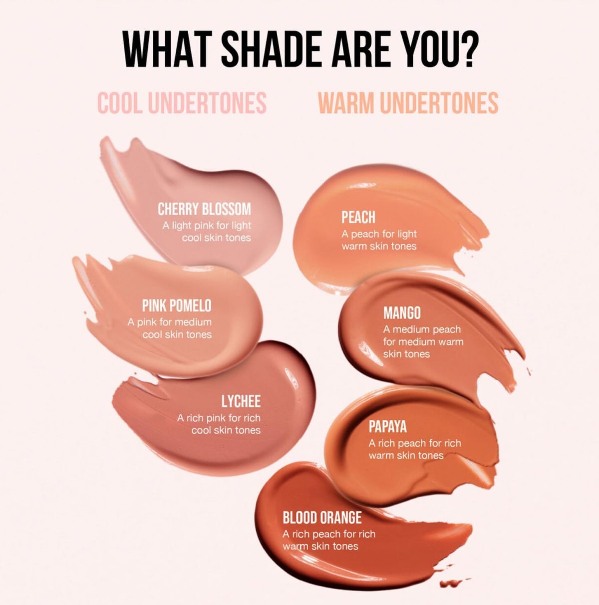 ⁦Huda BEAUTY # Under Eye Color Corrector – Papaya⁩ - الصورة ⁦9⁩