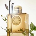 ⁦Burberry Goddess Intense Eau de Parfum 50ml⁩ - الصورة ⁦3⁩