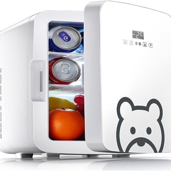 DDCVFREE Mini fridge Refrigerator 10L Refrigerator Mini Small Household Portable Heating And Cooling Box Skin Care Fridge Skincare Fridge