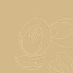 ⁦SHEA MOISTURE Deep Treatment Masque For Dry, Damaged Or Transitioning Hair Raw Butter With Sea Kelp And Argan Oil 12 Oz⁩ - الصورة ⁦12⁩