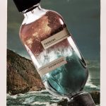 ⁦Orto Parisi Terroni Eau de Parfum 50ml⁩ - الصورة ⁦4⁩