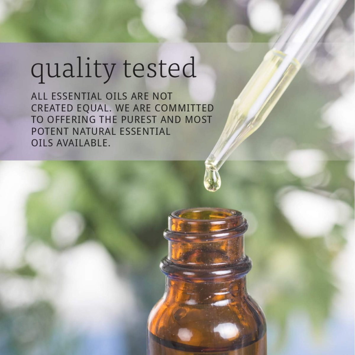 ⁦Now Essential Oils Clove, 30 Ml⁩ - الصورة ⁦9⁩