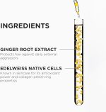 ⁦Kérastase Genesis Nourishing & Fortifying Shampoo Refill Pouch 500ml⁩ - الصورة ⁦3⁩