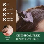 ⁦Dongsung Herb Speedy Color Cream PPD-Free Ammonia-Free Vegan Gray Coverage Hair Dye with Sun Protection, Odorless, Gentle for Sensitive Scalp, No Eye or Scalp Irritation (Natural Black)⁩ - الصورة ⁦2⁩