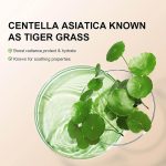 ⁦Grospe Centella Asiatica Color Correcting CC Cream Foundation Full Coverage Invisible Pores Long-Lasting Makeup Moisturising CC Cream for Naturally Glowing Skin 45ml (#1 Dark)⁩ - الصورة ⁦4⁩