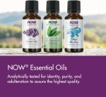 ⁦Now Essential Oils Clove, 30 Ml⁩ - الصورة ⁦5⁩