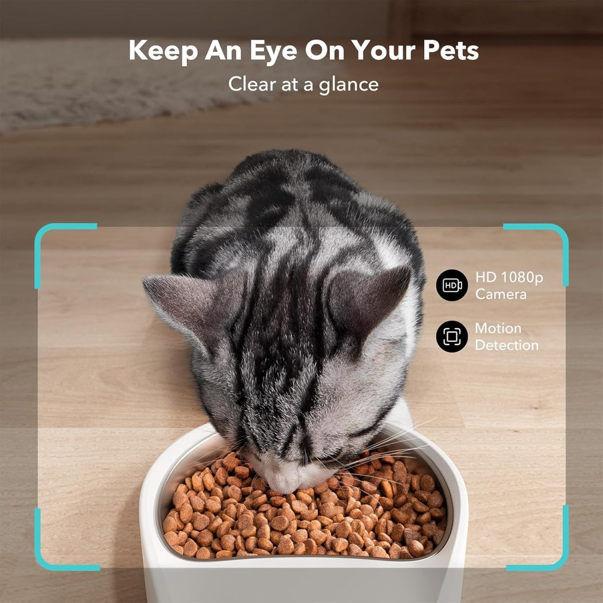 ⁦PETLIBRO Automatic Cat Feeder with Camera, 1080P HD Video with Night Vision, 5G WiFi Pet Feeder with 2-Way Audio, Low Food & Blockage Sensor, Motion & Sound Alerts for Cat & Dog Single Tray⁩ - الصورة ⁦2⁩