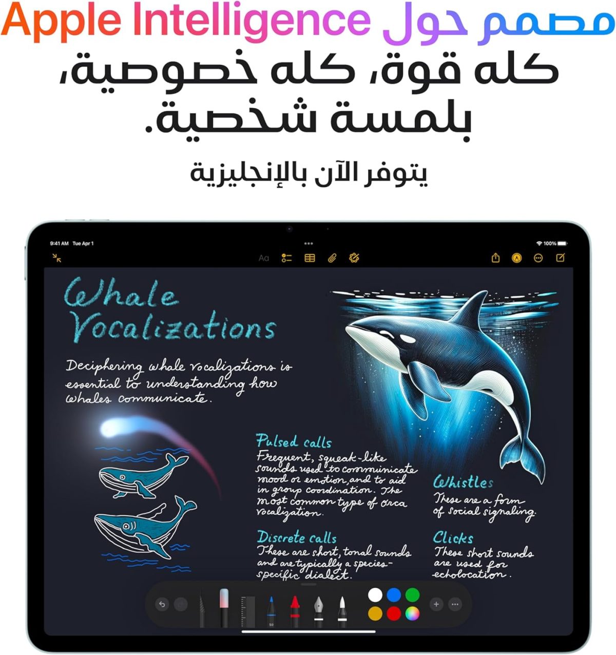 ⁦Apple iPad Air 11-inch with M3 chip Built for Apple Intelligence, Liquid Retina Display, 256GB, 12MP Front/Back Camera, Wi-Fi 6E, Touch ID, All-Day Battery Life — Space Gray⁩ - الصورة ⁦3⁩
