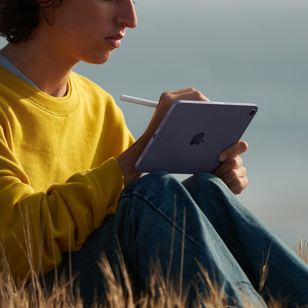 ⁦Apple (Refurbished) 2021 iPad mini (8.3-inch, Wi-Fi, 256GB) - Starlight (6th Generation)⁩ - الصورة ⁦4⁩