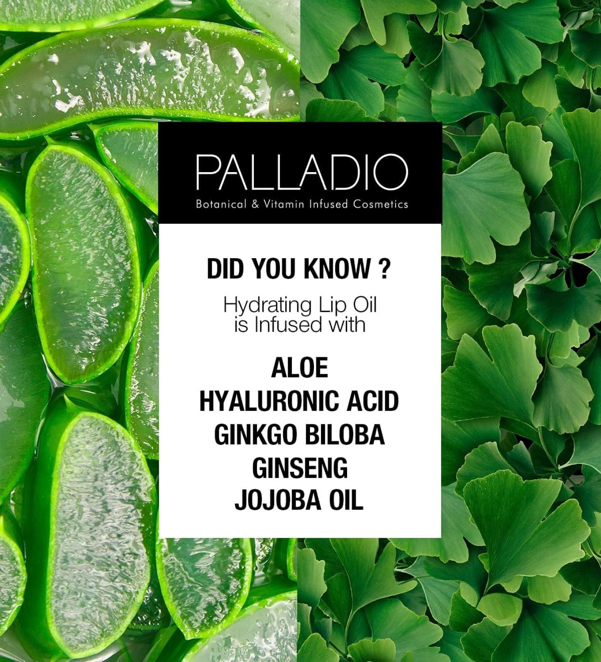 ⁦Palladio Hydrating Lip Oil Infused with Hyaluronic Acid, Non-Sticky Formula, Subtle shine tinted sheer color, liquid lipstick, locks in moisture to prevent chapped lips 0.13 Oz. (BLING)⁩ - الصورة ⁦3⁩