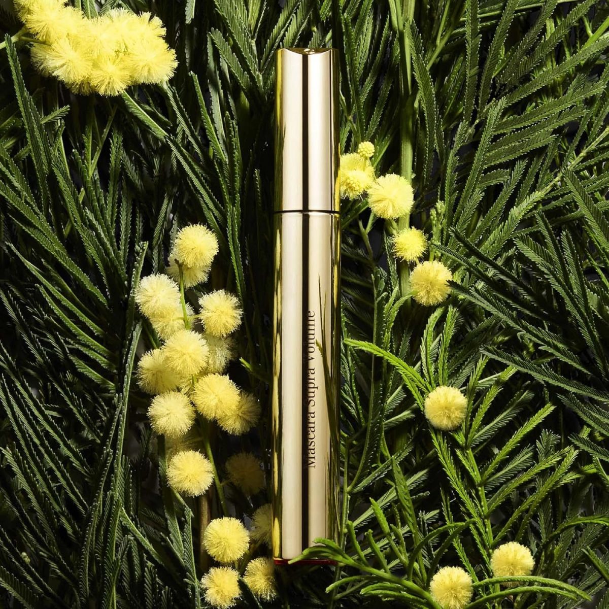 ⁦Clarins Supra Volume Mascara, 01-Black, 0.20 Fl Oz (Pack of 1)⁩ - الصورة ⁦3⁩
