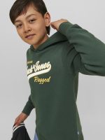⁦JACK & JONES boys JJELOGO SWEAT HOOD 2 COL 22/23 NOOS JNR Sweatshirt⁩ - الصورة ⁦7⁩