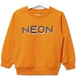 NEON Kids Boy's Printed Sweater, Orange, 3-4 Years