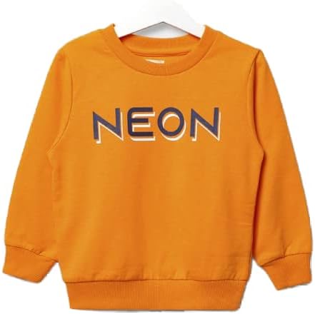 NEON Kids Boy's Printed Sweater, Orange, 3-4 Years