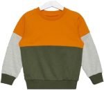 NEON Kids Boy's Color Blockongleeveweater