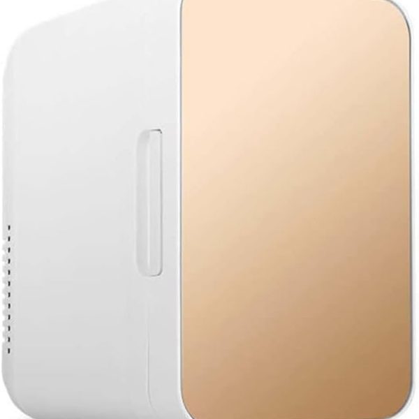 DDCVFREE Mini fridge ثلاجات صغيرة محمولة ثلاجة ثلاجة ثلاجة بارد ثلاجة بارد الثلاجة الثلاجة الثلاجة الثلاجة(Gold)